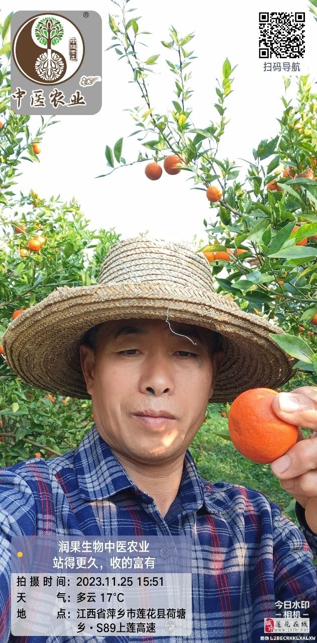 2023萍乡第一家生物中医农业示范园柑橘成熟了
